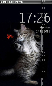 Cat Dancing es el tema de pantalla