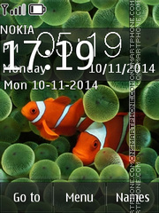 Clown Fish 03 es el tema de pantalla