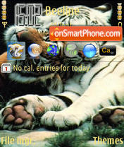 Tiger 05 tema screenshot