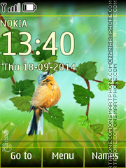 Bird 08 es el tema de pantalla