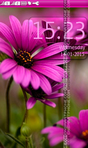 Purple Flower tema screenshot