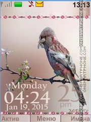 Birds tema screenshot