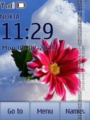 Flower in Snow theme screenshot