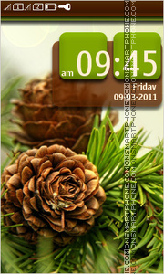 Fir Cones theme screenshot