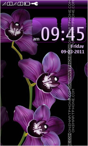 Purple Orchids tema screenshot