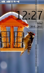 Winter Bird House tema screenshot