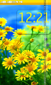 Yellow Daisies es el tema de pantalla