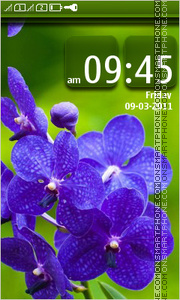 Blue flowers 06 tema screenshot