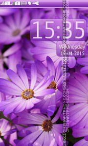 Скриншот темы Purple Daisies