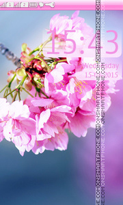 Cherry Blossom Theme-Screenshot