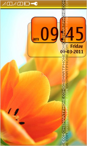 Orange Tulips 02 theme screenshot