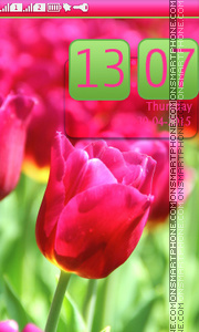 Tulips Macro tema screenshot