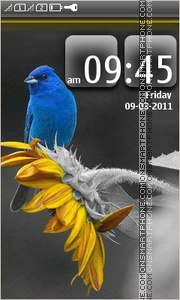 Blue Bird 02 theme screenshot