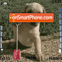 Dog Plays Animated tema screenshot