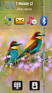 Colorful Birds tema screenshot