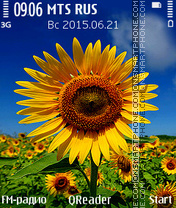 Sunflower+ es el tema de pantalla