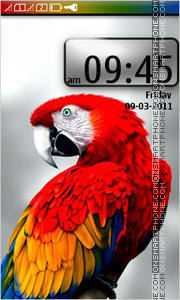 Parrot Macaw 01 theme screenshot