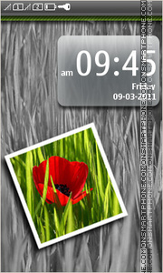 Red Poppy 01 theme screenshot