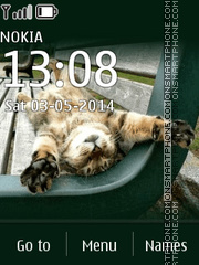 Cat 24 theme screenshot