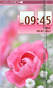 Red Rose 13 theme screenshot