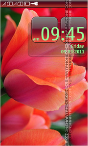 Flowers tulips tema screenshot