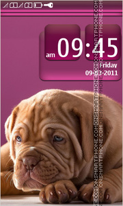 Cute puppy 08 tema screenshot