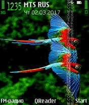 Macaws theme screenshot