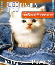 Cute Cat theme screenshot
