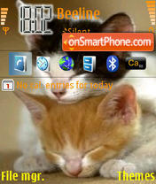 Sleep Cats theme screenshot