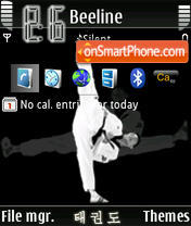 TKD Taekwondo tema screenshot