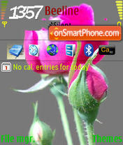 N73 Flowers es el tema de pantalla