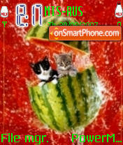 Summer Kitties es el tema de pantalla