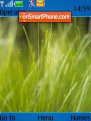 Скриншот темы Fresh Grass Vista