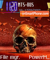 Skull theme screenshot