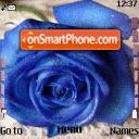 Blue Roses theme screenshot