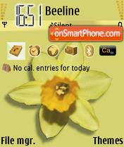 Flower 04 theme screenshot