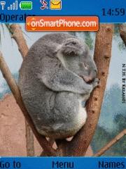 Capture d'écran Koala thème
