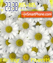 Daysies tema screenshot