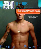 David Beckham 04 theme screenshot