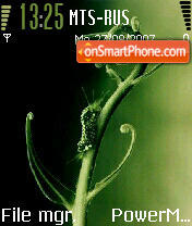 Nature Night tema screenshot