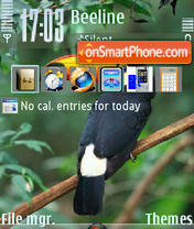 Bird 03 theme screenshot