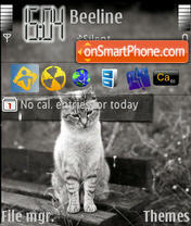 Cats 03 theme screenshot
