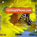 Butterfly 124 Theme-Screenshot