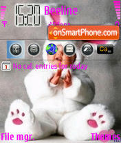 Zaika Theme-Screenshot