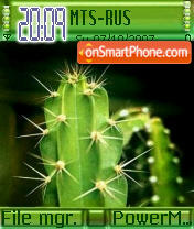 Cactus theme screenshot