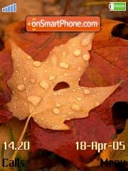 Autumn Colors tema screenshot