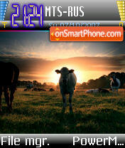 Holy Cow tema screenshot