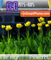 Скриншот темы Tulips