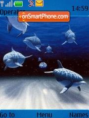 Скриншот темы Dolphins