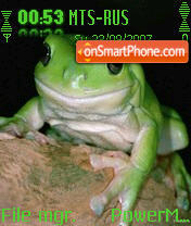 Reptile Frog tema screenshot